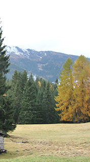 cover 4